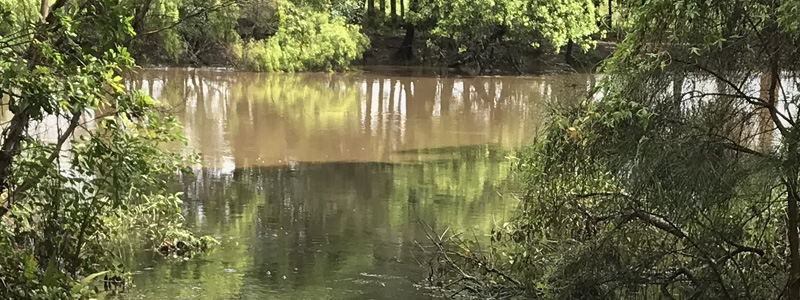Blackwater mixing with brown floodwater in Bungawalbyn Creek.