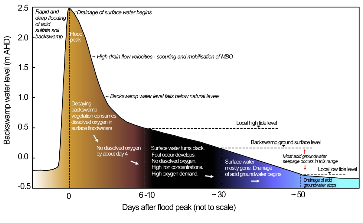 General water quality processes after flooding. (Johnson, S. et al 2003.)